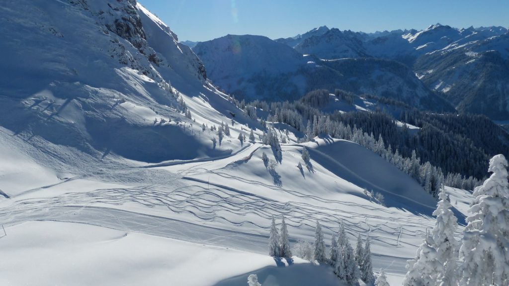 backcountry powder turns