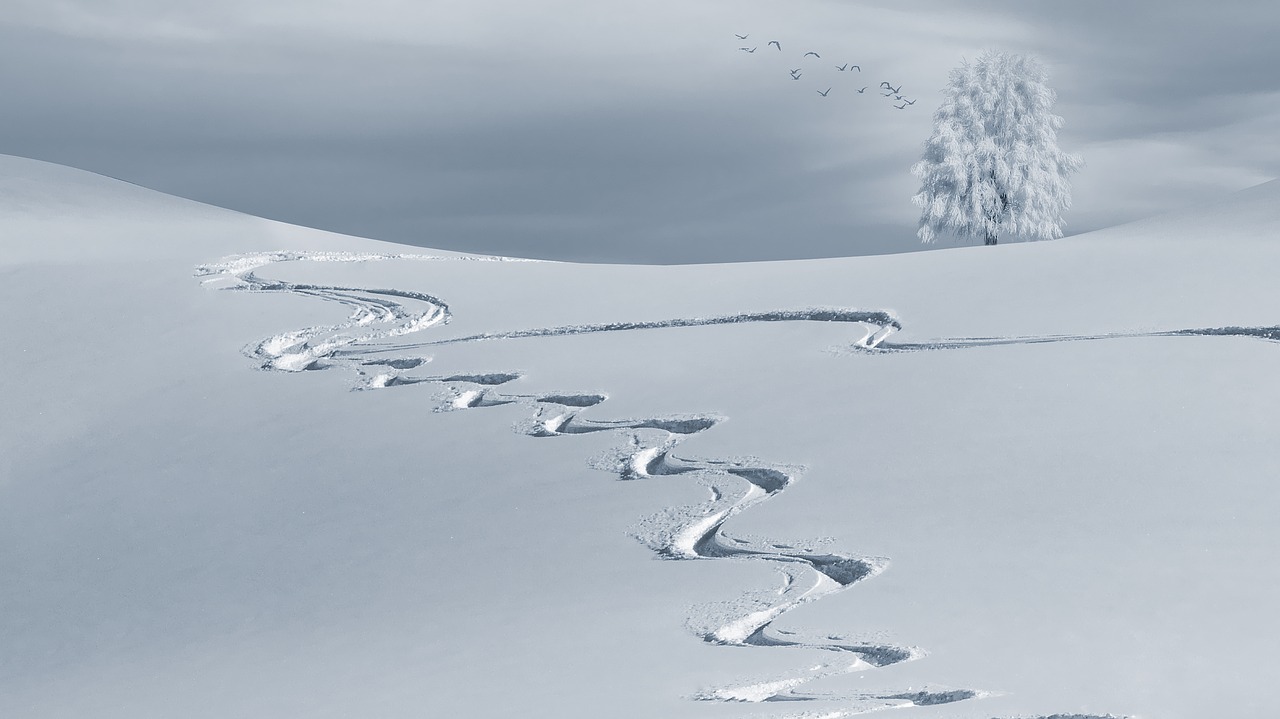 backcountry skiing turns